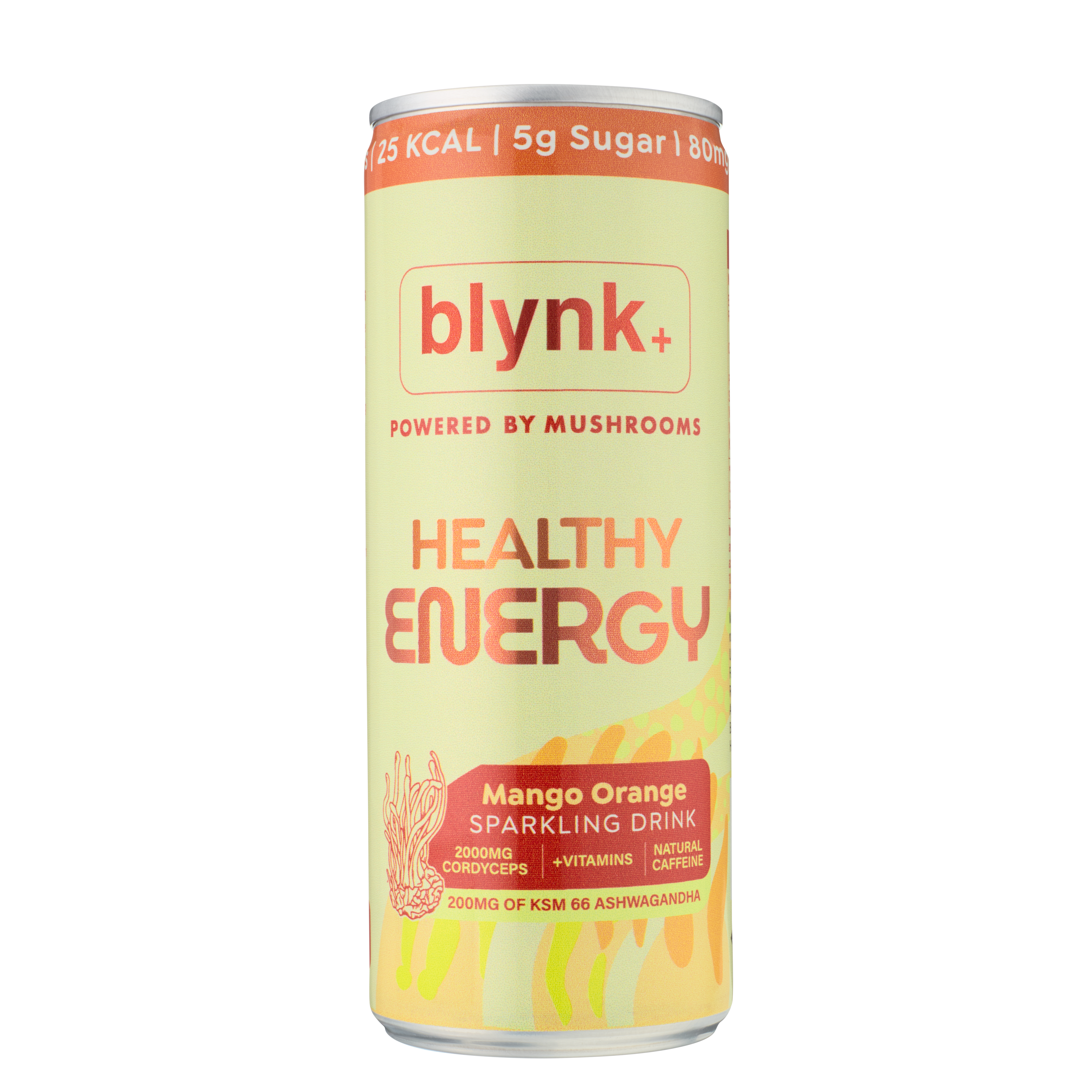 Blynk+ Mixed Case - Focus, Calm and Healthy Energy